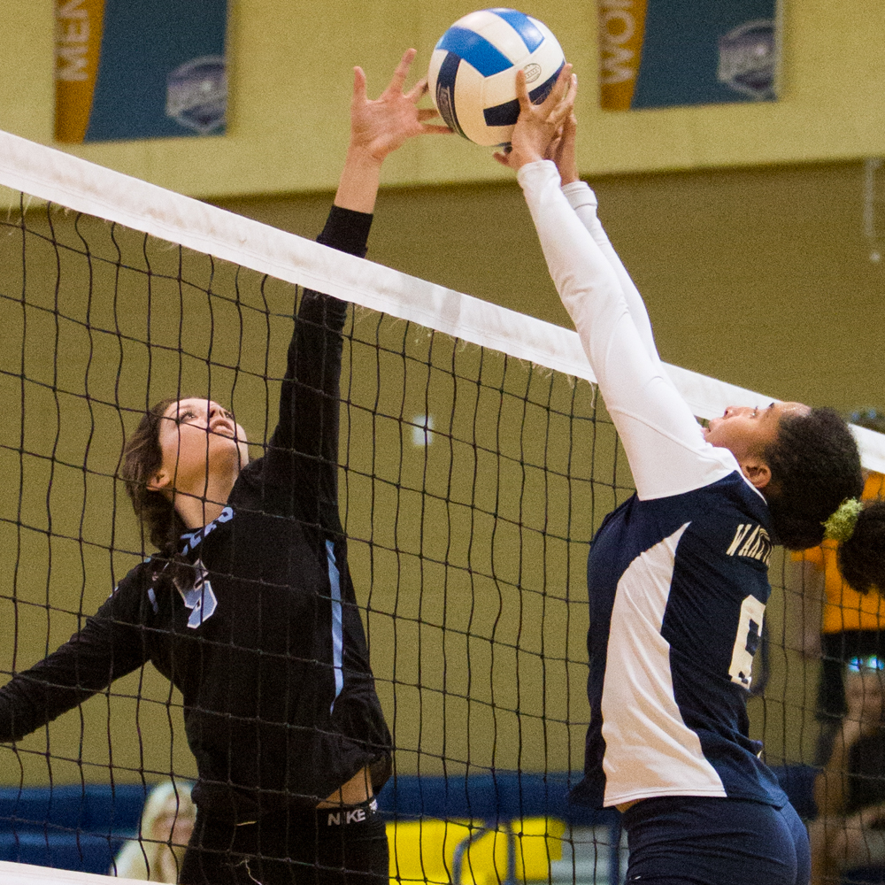 Volleyball Muscles Past Lenoir