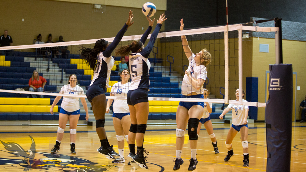 Region X Update: Eagles Fall 3-0 to Walters State