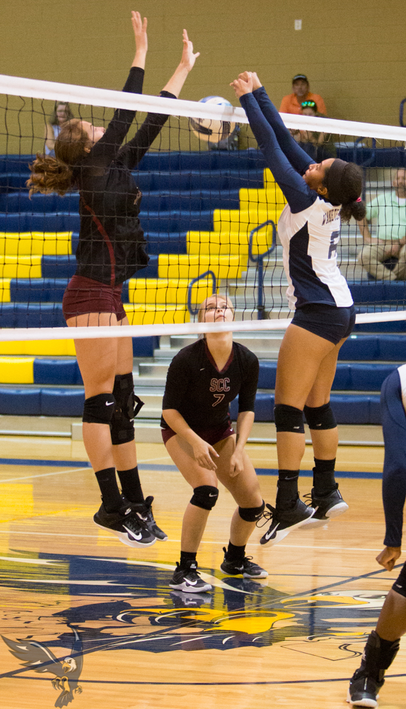 Preview: Volleyball vs Lenoir